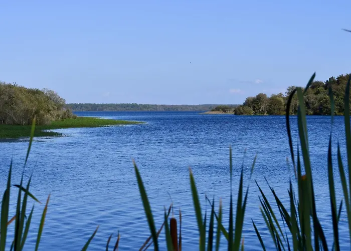 Casa vacanze Sicard-2 By Interhome Mimizan-Plage